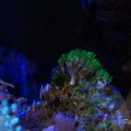 0010 IMG 0379