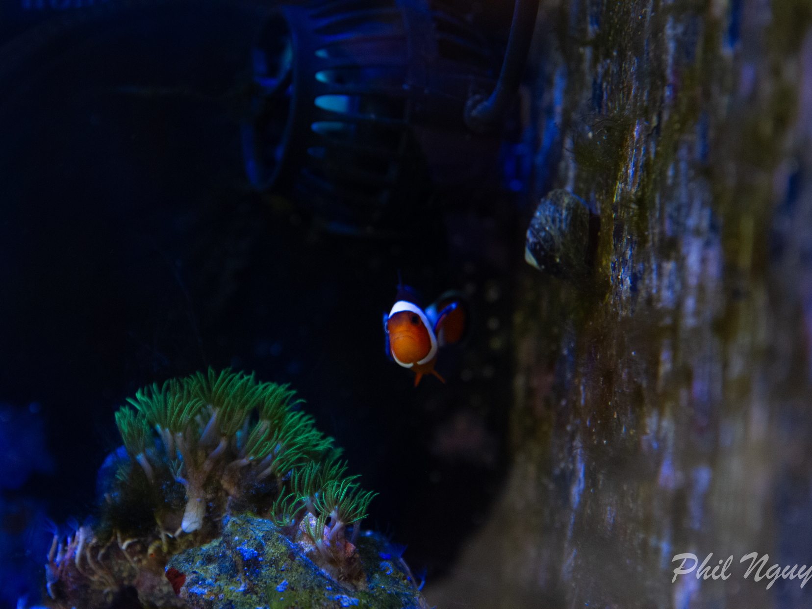 0011 IMG 0380