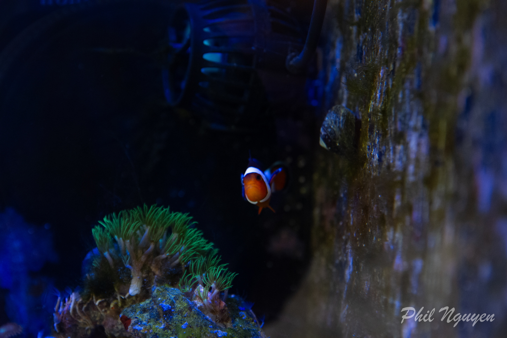 0011 IMG 0380
