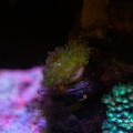 0004 IMG 0366