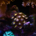 0003 IMG 0365