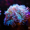 0002 IMG 0362