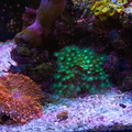 0005_IMG_0406.jpg