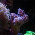 0007_IMG_0410.jpg